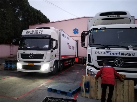 上海到西安冷鏈物流運輸公司,冷鏈倉儲配送,全程溫度可視
