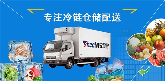 上海到北京冷凍運輸公司 上海到北京冷藏物流公司