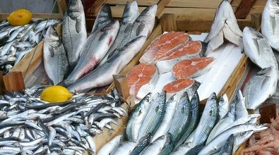 海鮮冷鏈