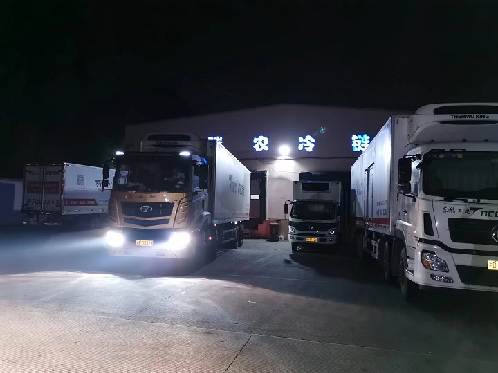 上海到北京冷鏈物流運輸公司