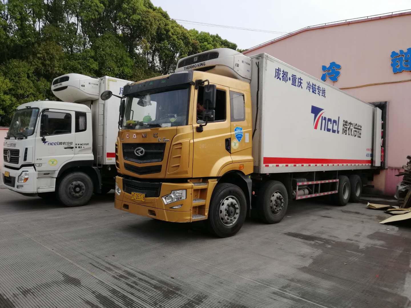 上海到廣州冷鏈物流運(yùn)輸需要幾天時(shí)間-騰農(nóng)冷鏈物流運(yùn)輸,全程呵護(hù)