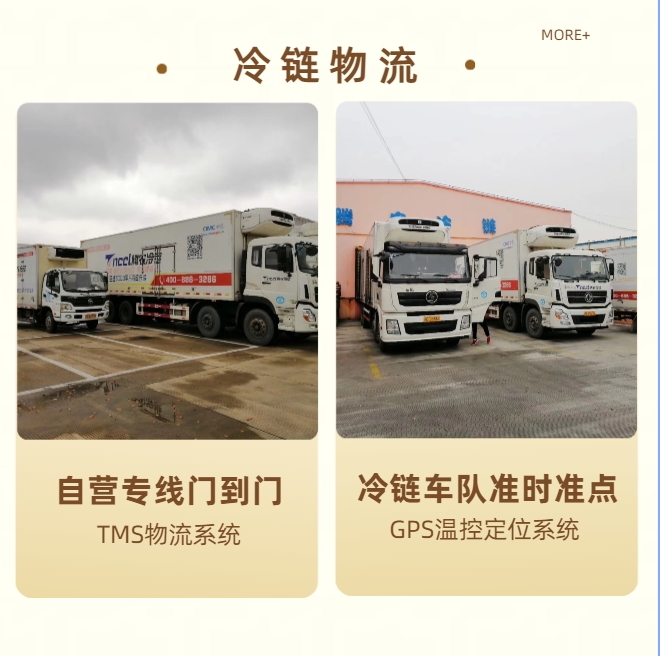 上海騰農(nóng)冷鏈物流—冷藏凍品、恒溫藥品物流、冰淇淋冷鏈運(yùn)輸