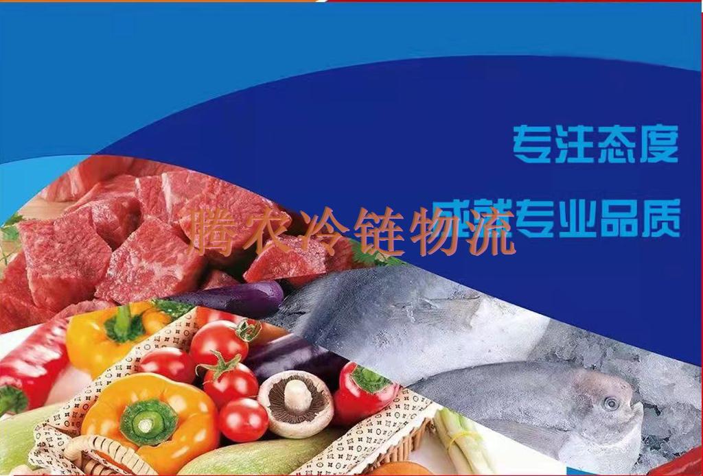 上海到沈陽(yáng)冷鏈物流/冷鏈倉(cāng)儲(chǔ)/冷藏冷凍運(yùn)輸專線