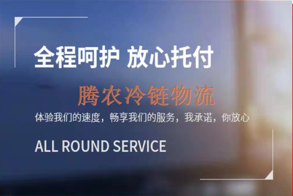 上海到銀川冷鏈物流/冷鏈倉(cāng)儲(chǔ)/冷藏冷凍運(yùn)輸專線